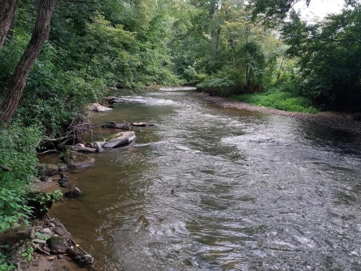 شقة Tranquil Creekside Mountain View Getaway Clyde المظهر الخارجي الصورة