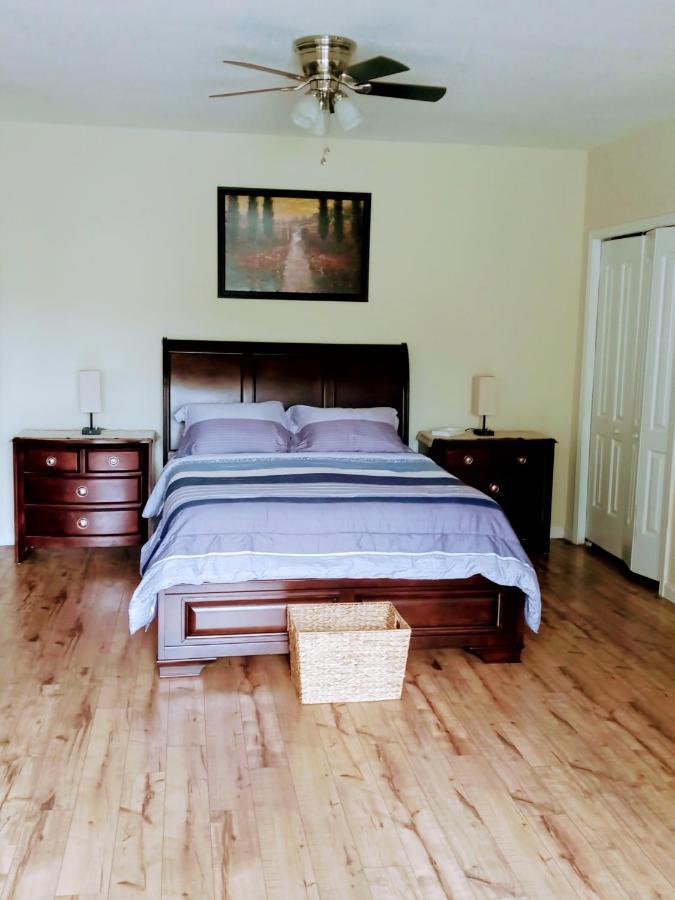 شقة Tranquil Creekside Mountain View Getaway Clyde المظهر الخارجي الصورة